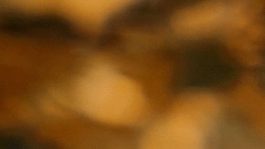 Sombrero de pescador