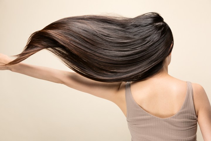 Canas