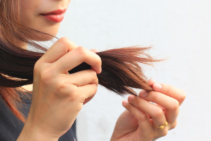 pelo