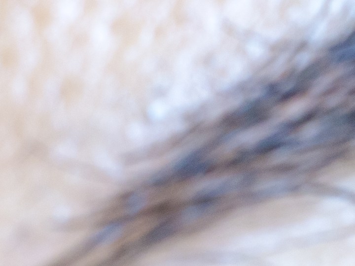 Pestañas