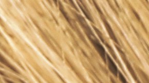 Corte de cabello