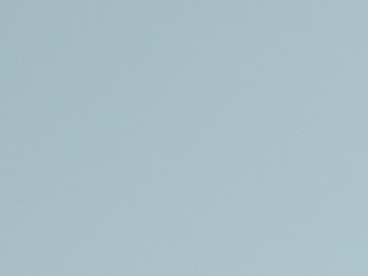 Piel