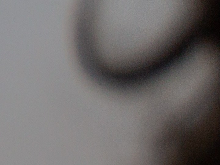 Bigote