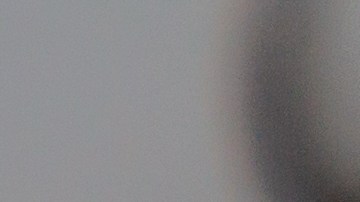 Bigote