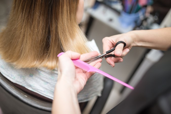 Corte