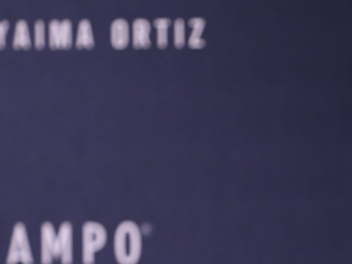 Adamari López