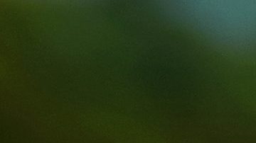 Bikinis para el verano