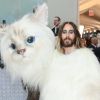 Jared Leto