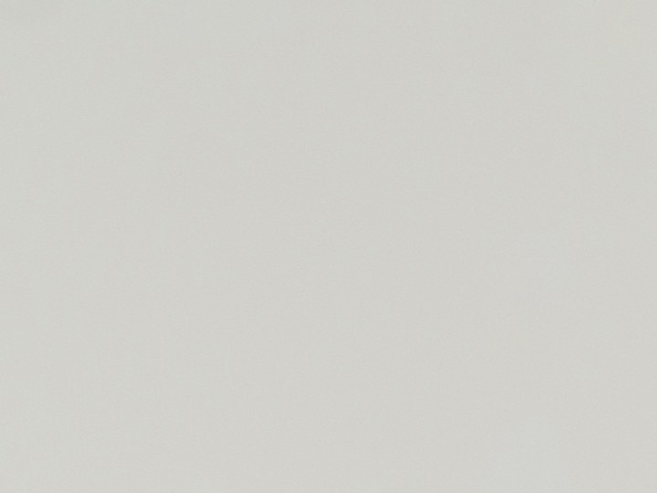 Piel