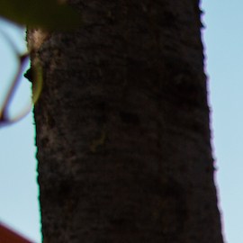 Cómo usar sandalias tevas en verano 2023