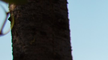 Cómo usar sandalias tevas en verano 2023