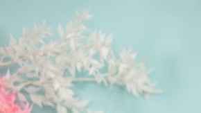 El skin tint favorito de lindsay lohan para una piel radiante