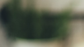 Aceites que ayudarán a que tu cabello se vea y se sienta más sano por menos de $30 dólares