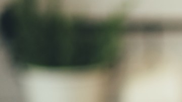Aceites que ayudarán a que tu cabello se vea y se sienta más sano por menos de $30 dólares