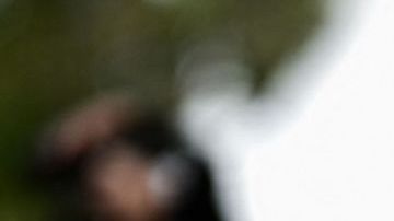 Conoce la base de maquillaje que usa Adriana Lima y que cuesta menos de $10 dólares