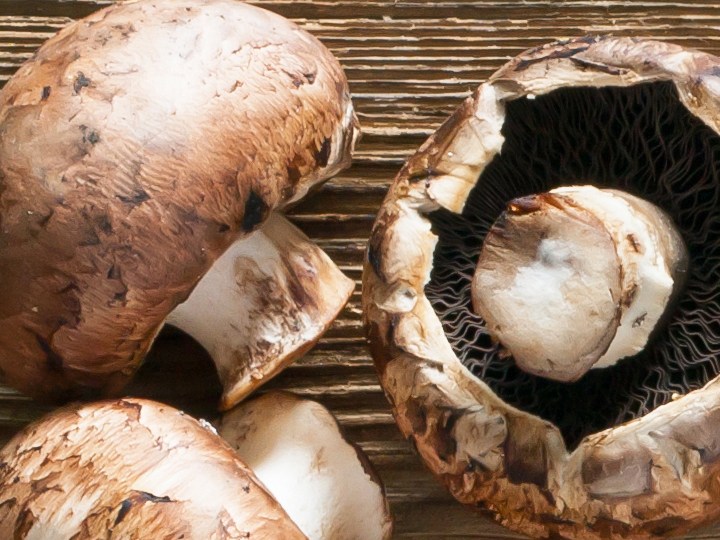 Biotina