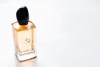 Dupes de Giorgio Armani “Sì”: las opciones más parecidas de la popular fragancia
