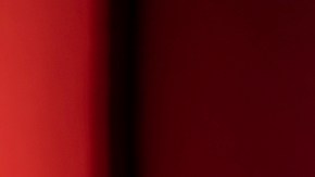 Dupes de “Lost Cherry”: 5 opciones parecidas a la costosa fragancia de Tom Ford