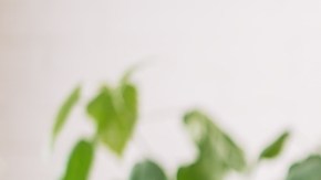 Hair Oiling: qué es, beneficios, qué aceite elegir y cómo aplicarlo en el cabello