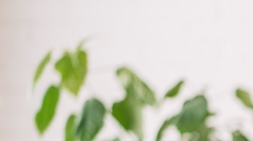 Hair Oiling: qué es, beneficios, qué aceite elegir y cómo aplicarlo en el cabello