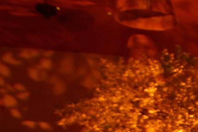 La maldición de Vera Wang: celebridades que se divorciaron tras usar un vestido de la diseñadora