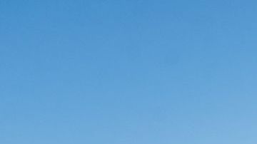 Moda Plus Size: overoles virales que puedes comprar en Amazon desde $XX dólares