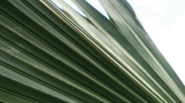 Conoce 10 prendas populares de ‘The Drop’, la marca de moda de Amazon