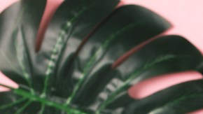 5 productos de skincare coreanos para combatir el acné y los brotes en el rostro