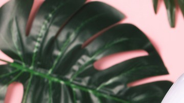 5 productos de skincare coreanos para combatir el acné y los brotes en el rostro