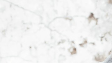 Conoce la tendencia “Groutfit": la moda que busca reemplazar al "Barbicore"