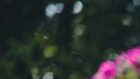 vestidos en Amazon perfectos para sumarte a la tendencia ‘Barbiecore’