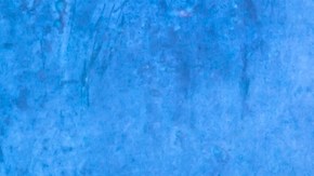 Dupes de “Black Orchid”: 5 opciones similares de la costosa y popular fragancia de Tom Ford