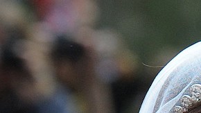 Kate Middleton usó un esmalte de $8 dólares el día de su boda; conoce cuál fue