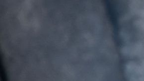 Kendall Jenner y Bad Bunny son captados muy cariñosos en el concierto de Drake