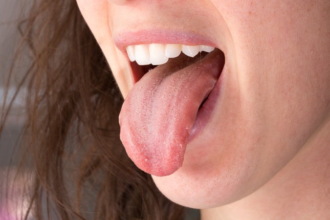Lengua