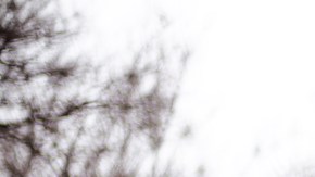 Moda otoño/invierno 2023: 7 lindas chamarras ‘puffer’ desde $46 dólares