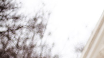 Moda otoño/invierno 2023: 7 lindas chamarras ‘puffer’ desde $46 dólares