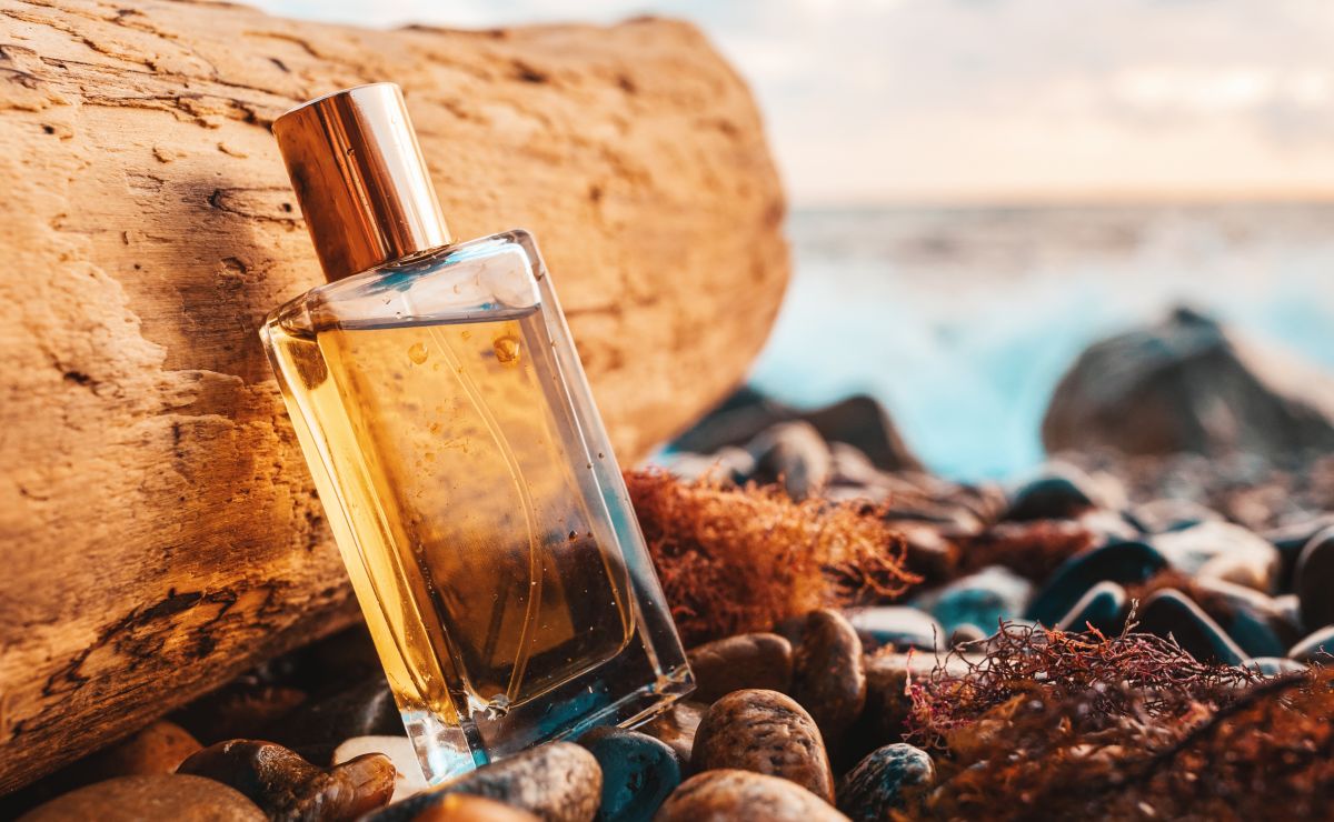 Perfumes Gourmand Qué Son Y Cuáles Son Las Mejores Fragancias Que Puedes Probar Bien Bonita 8968
