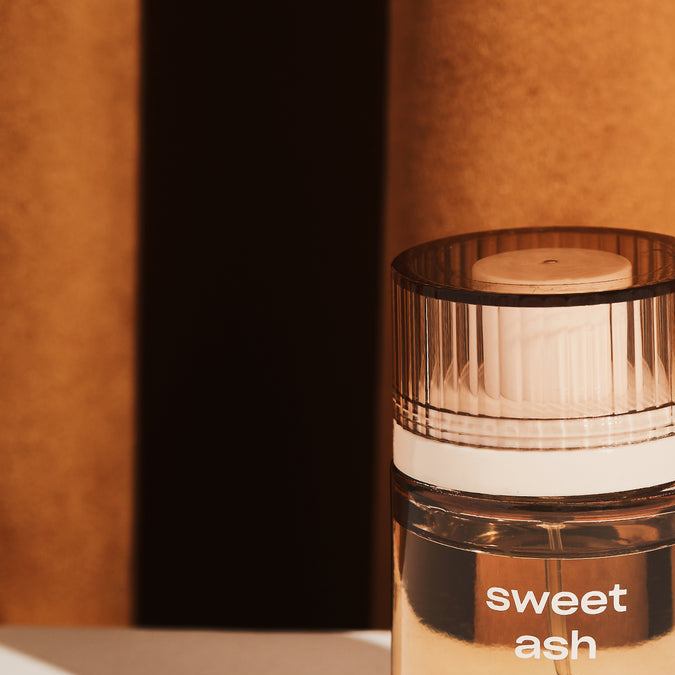 5 populares perfumes amaderados que te dejarán un aroma sensual y sofisticado