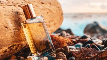 5 populares perfumes amaderados que te dejarán un aroma sensual y sofisticado