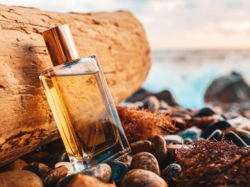 5 populares perfumes amaderados que te dejarán un aroma sensual y sofisticado