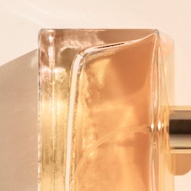 5 perfumes de Target que son dupes de fragancias famosas de acuerdo a TikTok