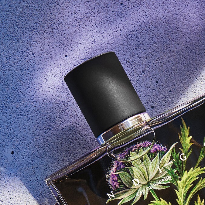 5 populares perfumes especiados que te dejarán un aroma atrevido y cautivador