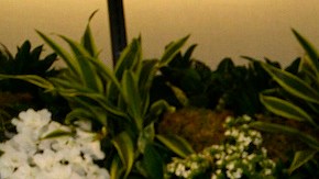 5 populares perfumes gourmand que te dejarán un aroma a caramelo irresistible