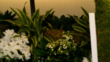 5 populares perfumes gourmand que te dejarán un aroma a caramelo irresistible