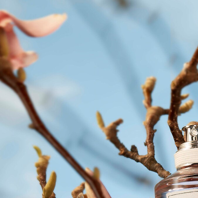 5 populares perfumes con notas de pera que te dejarán un aroma fresco y limpio