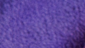 ¿Tienes el cabello rubio, gris o plateado? 5 shampoos morados para cuidar su color