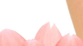 Conoce la tinta de labios viral en TikTok que es de larga duración y cuesta menos de $15 dólares