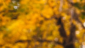 Conoce el vestido viral en Amazon que cuesta menos de $20 dólares y es ideal para otoño 2023