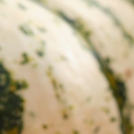 Aceite de semilla de calabaza para el cabello: beneficios y cómo usarlo en el pelo